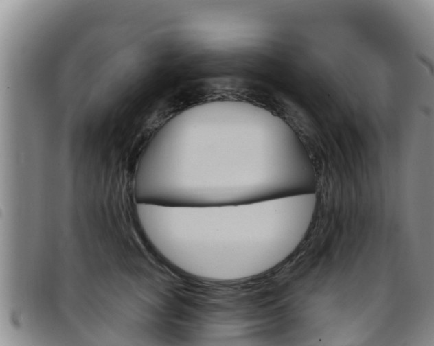 X0000097890757200803141005