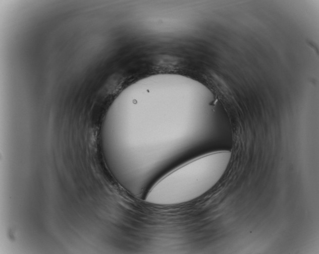 X0000097890759200803141005