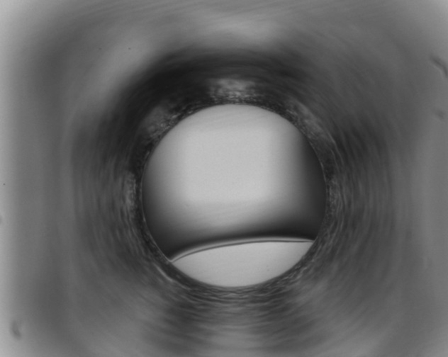 X0000097890760200803141005
