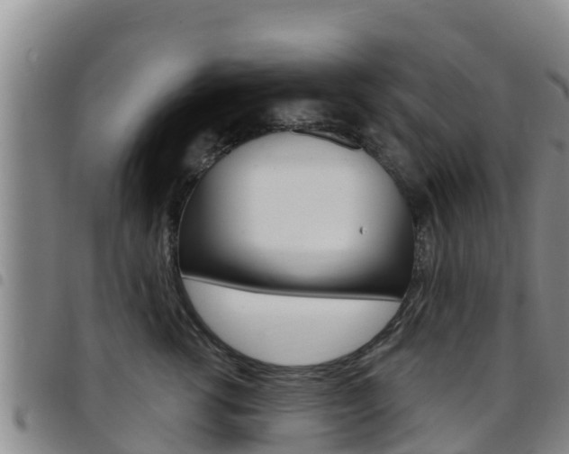 X0000097890762200803141005