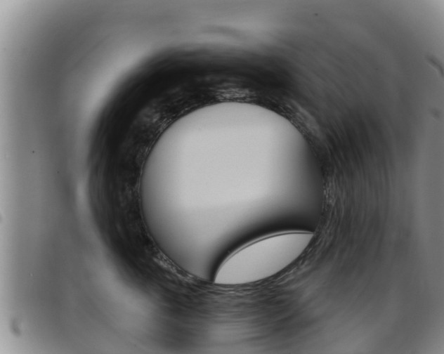 X0000097890763200803141005