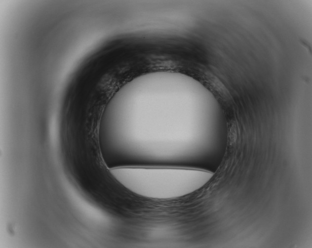 X0000097890764200803141005