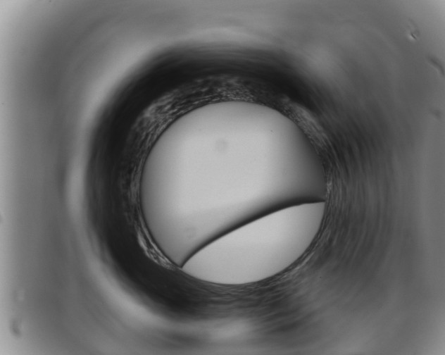 X0000097890765200803141005
