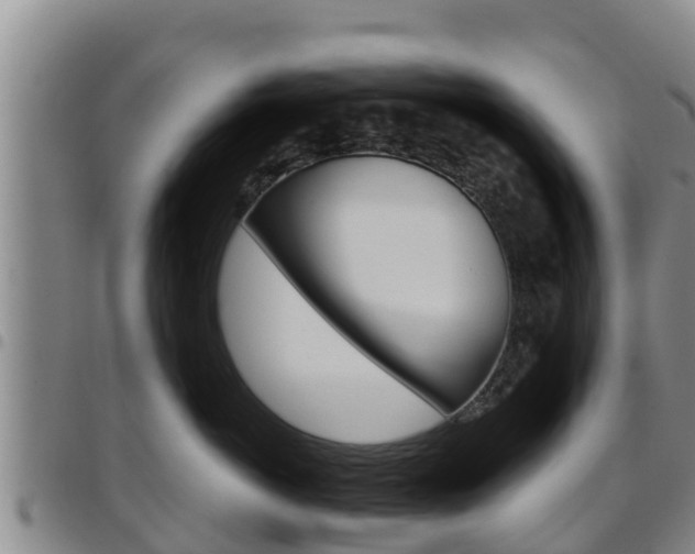 X0000097890766200803141005