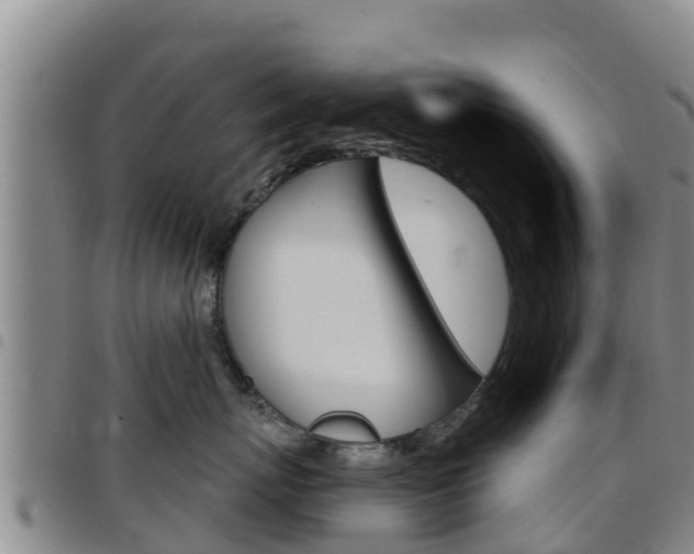 X0000097890767200803141005