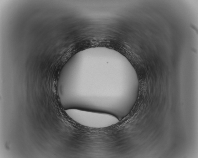 X0000097890770200803141004