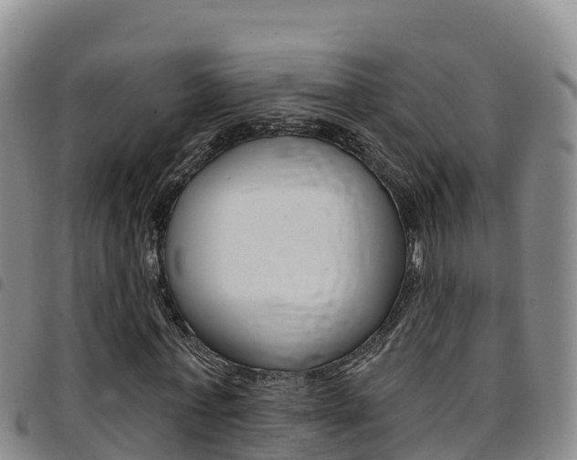 X0000097890771200803141004