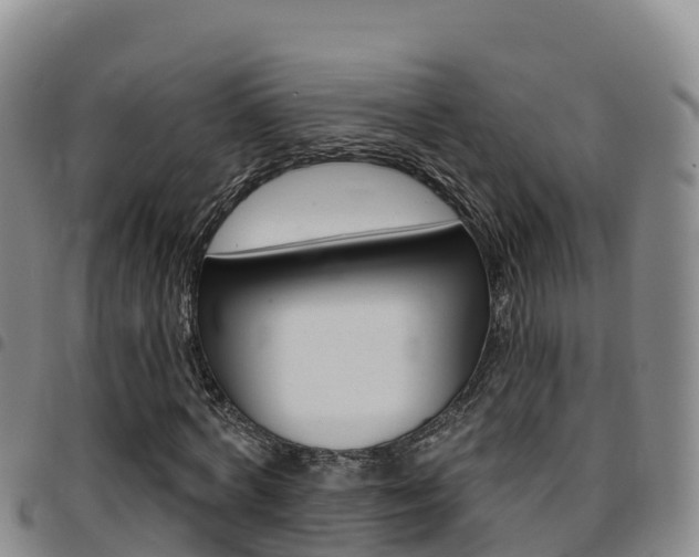 X0000097890772200803141004