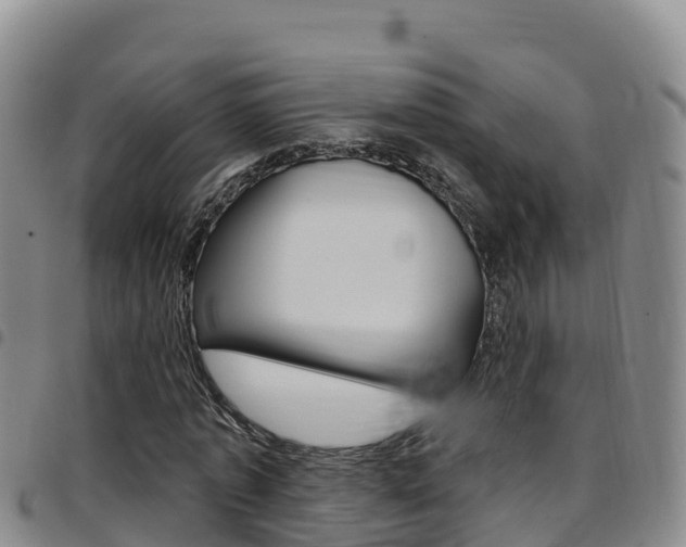X0000097890773200803141004