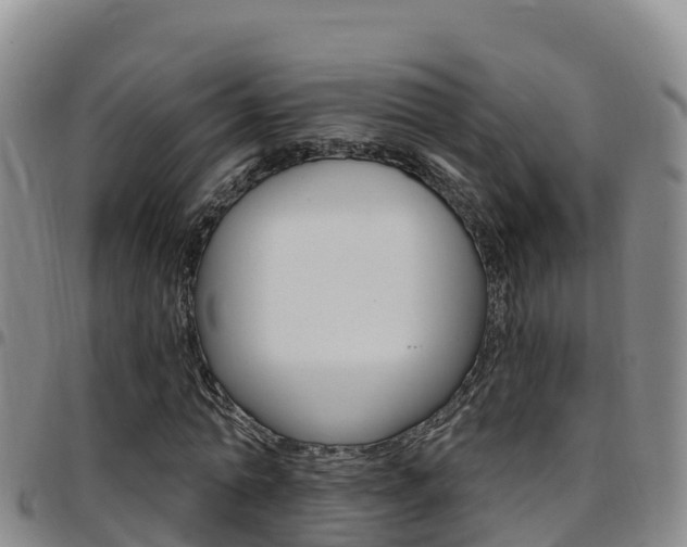 X0000097890774200803141004