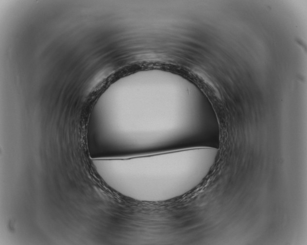 X0000097890775200803141004