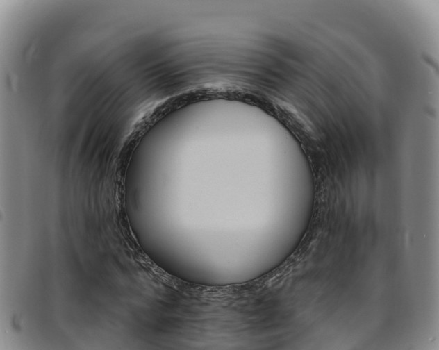 X0000097890776200803141004
