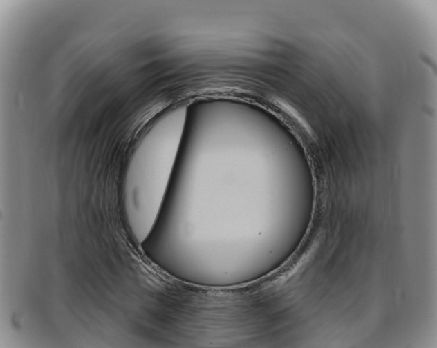 X0000097890777200803141004