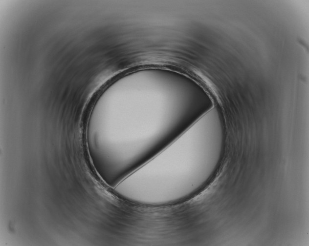 X0000097890779200803141004