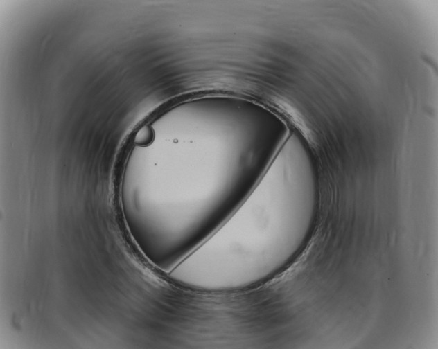 X0000097890780200803141004