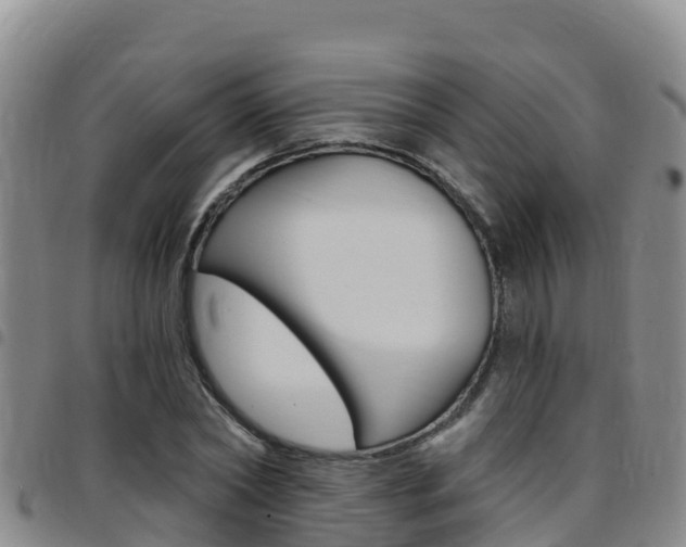 X0000097890782200803141004