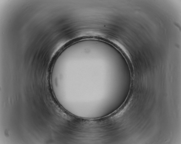 X0000097890783200803141004