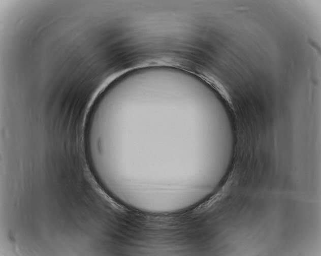 X0000097890784200803141004