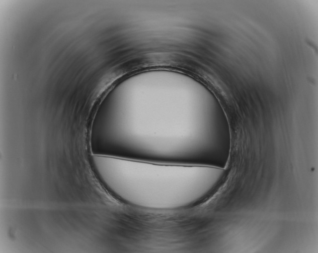 X0000097890786200803141004
