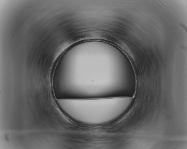 X0000097890789200803141004