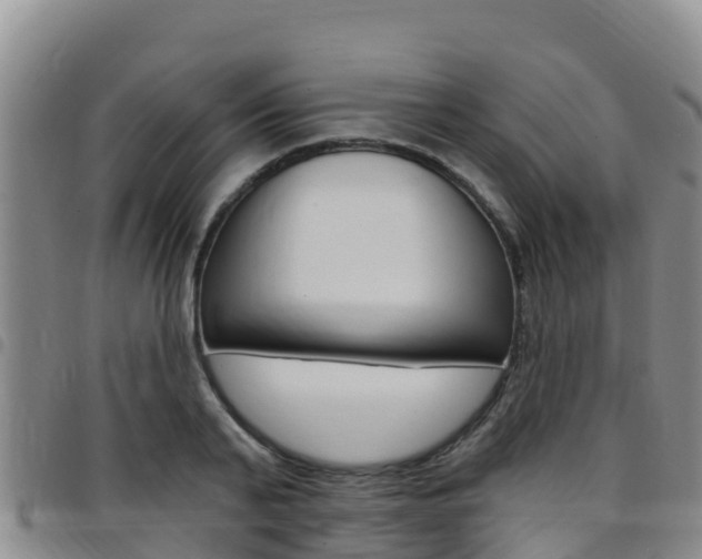 X0000097890791200803141004