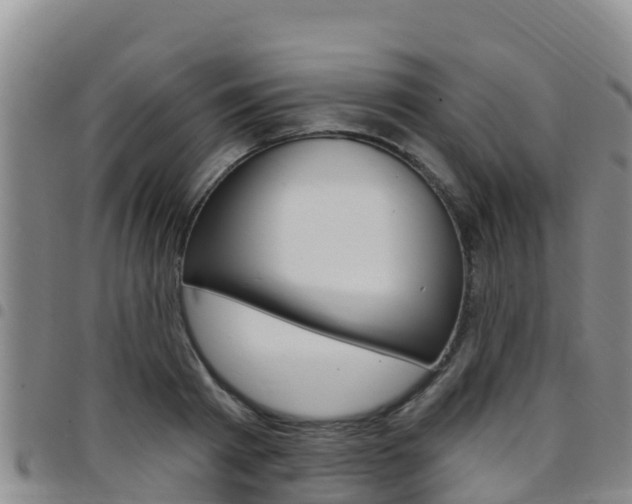X0000097890793200803141004