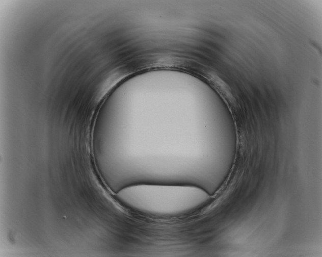 X0000097890794200803141004