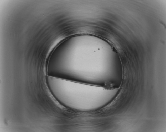 X0000097890796200803141004