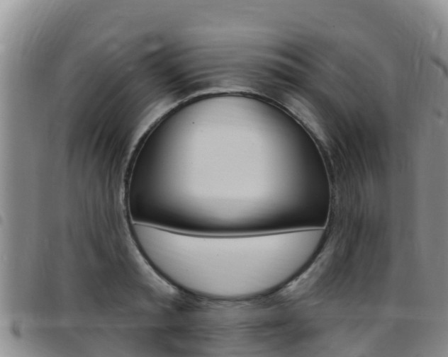 X0000097890797200803141004