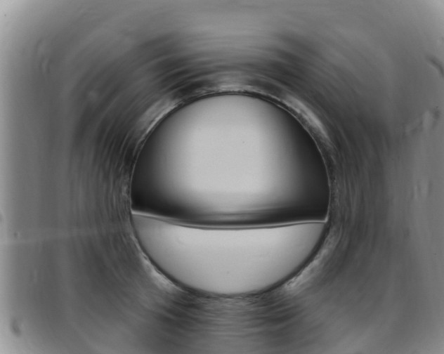 X0000097890801200803141004