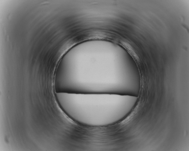 X0000097890802200803141004