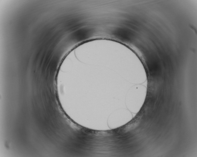 X0000097890807200803141004