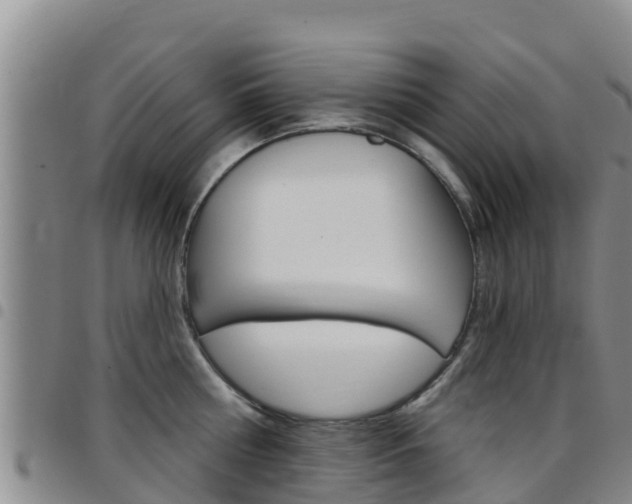 X0000097890810200803141004