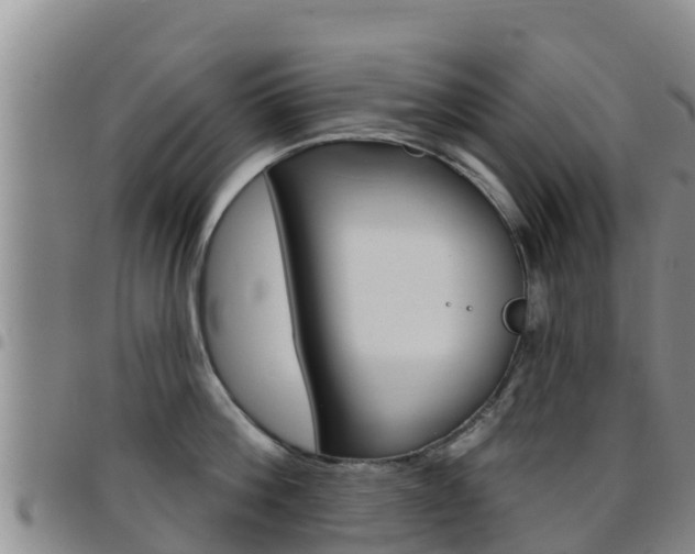 X0000097890812200803141004