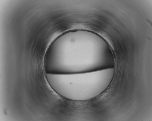 X0000097890815200803141004