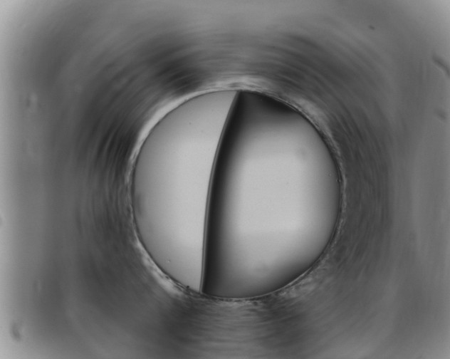 X0000097890816200803141004