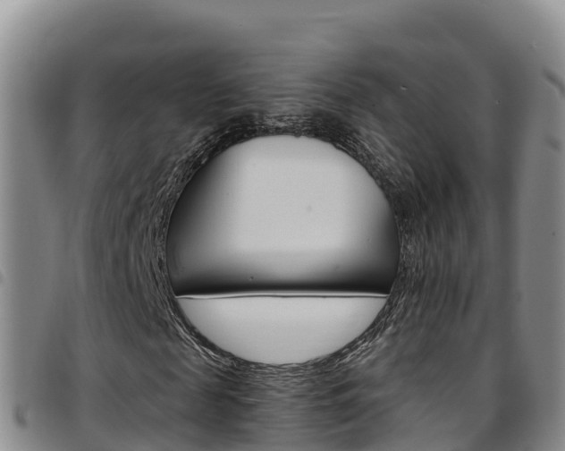 X0000097890817200803141003
