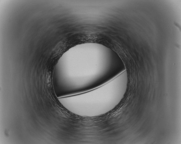 X0000097890818200803141003