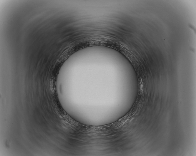 X0000097890819200803141003