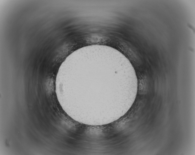 X0000097890820200803141003