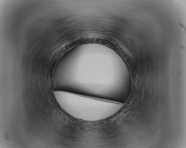 X0000097890821200803141003
