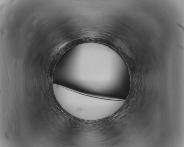 X0000097890822200803141003