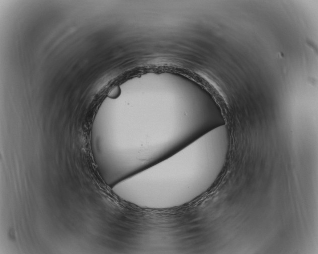 X0000097890823200803141003