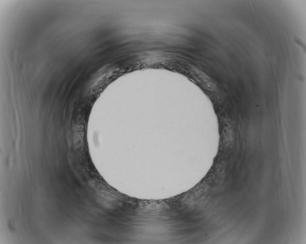 X0000097890824200803141003