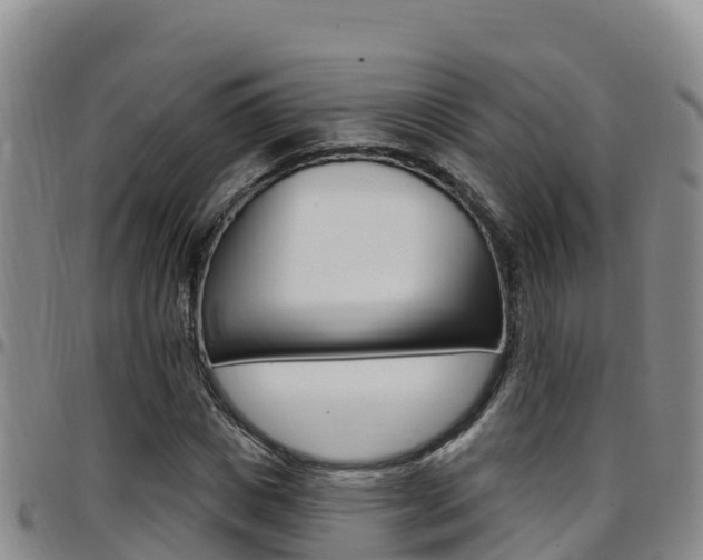 X0000097890825200803141003