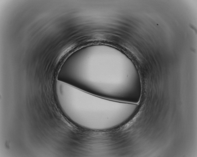 X0000097890826200803141003