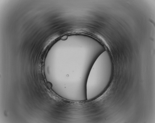 X0000097890827200803141003