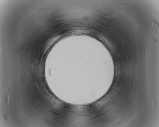 X0000097890828200803141003