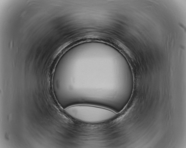 X0000097890829200803141003