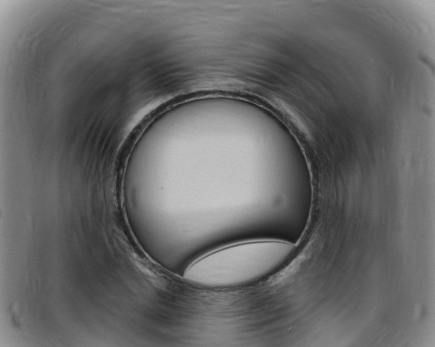 X0000097890830200803141003